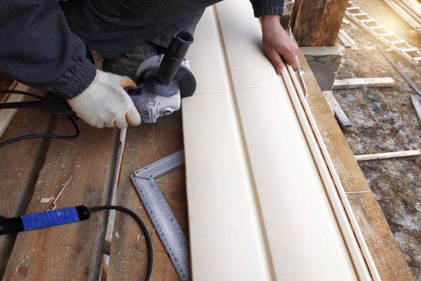 Best Fascia and Soffit Installation  in Stanaford, WV